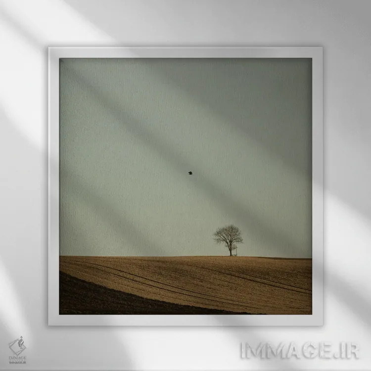 تابلو دکوراتیو سرودددد به سرزمین اثر لنا وایسبک - نمای قابدار سفید