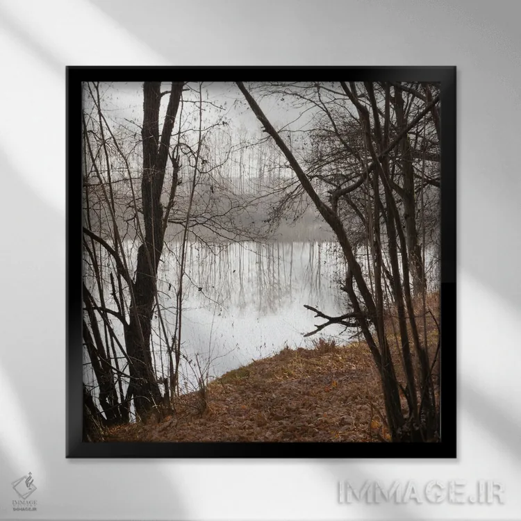 تابلو دکوراتیو مالیخولیا اثر لنا وایسبک - نمای قابدار مشکی