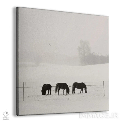 تابلو دکوراتیو آرامش زمستانی باواریا اثر لنا وایسبک - نمای پرسپکتیو محصول