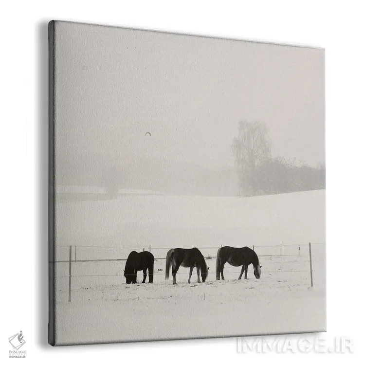 تابلو دکوراتیو آرامش زمستانی باواریا اثر لنا وایسبک - نمای پرسپکتیو محصول