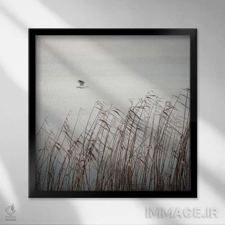 تابلو دکوراتیو پرنده روی دریاچه اثر لنا وایسبک - نمای قابدار مشکی