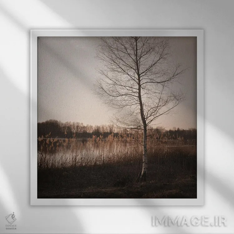 تابلو دکوراتیو فصل پاییز اثر لنا وایسبک - نمای قابدار سفید