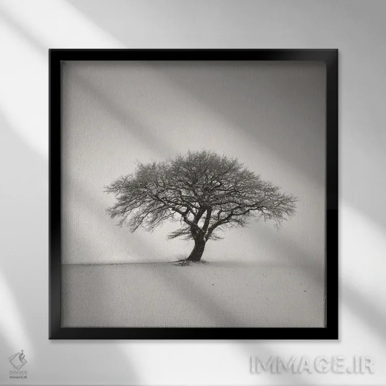 تابلو دکوراتیو تنها اثر لنا وایسبک - نمای قابدار مشکی