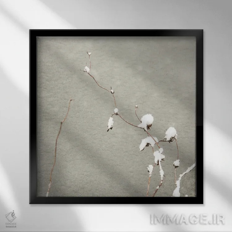 تابلو دکوراتیو پوشیده در برف اثر لنا وایسبک - نمای قابدار مشکی