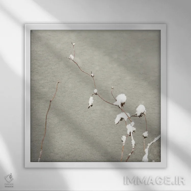 تابلو دکوراتیو پوشیده در برف اثر لنا وایسبک - نمای قابدار سفید