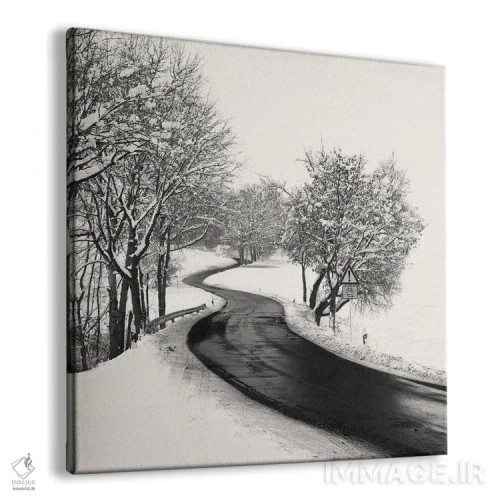 تابلو دکوراتیو جاده مارپیچ اثر لنا وایسبک - نمای پرسپکتیو محصول