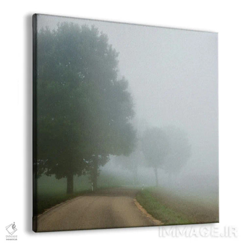 تابلو دکوراتیو مه صبحگاهی در مسیرم اثر لنا وایسبک - نمای پرسپکتیو محصول