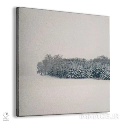 تابلو دکوراتیو سکوت اثر لنا وایسبک - نمای پرسپکتیو محصول