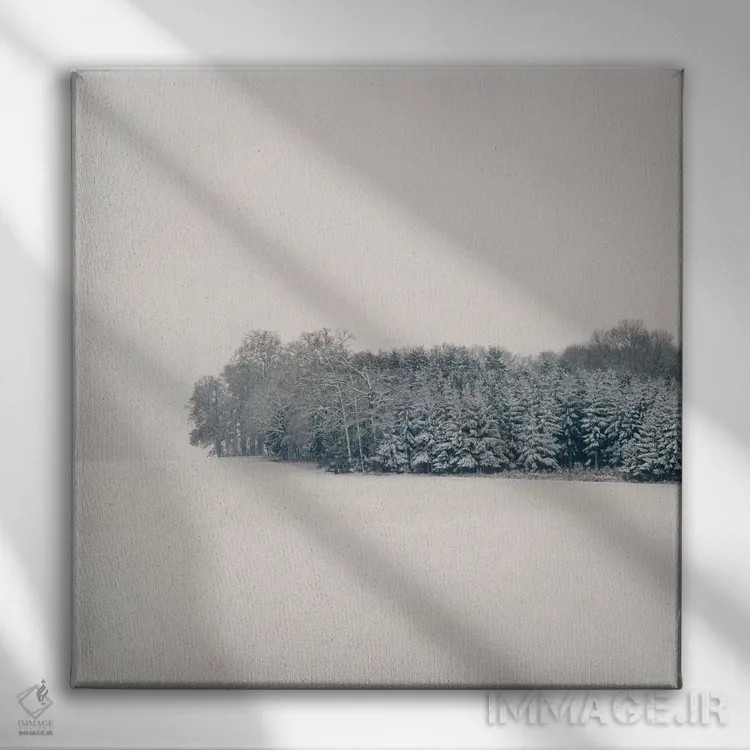 تابلو دکوراتیو سکوت اثر لنا وایسبک - نمای روبهرو روی دیوار