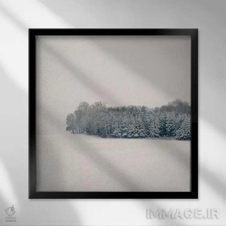 تابلو دکوراتیو سکوت اثر لنا وایسبک - نمای قابدار مشکی