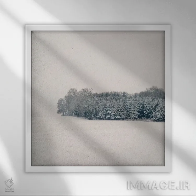 تابلو دکوراتیو سکوت اثر لنا وایسبک - نمای قابدار سفید