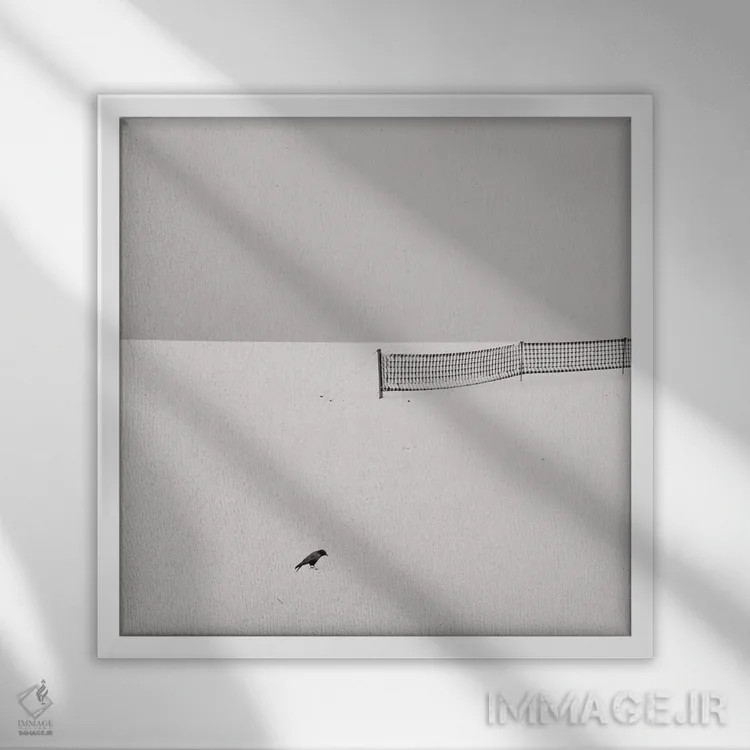 تابلو دکوراتیو پرنده اثر لنا وایسبک - نمای قابدار سفید
