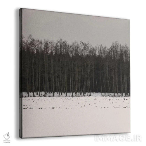 تابلو دکوراتیو جنگل های زمستانی اثر لنا وایسبک - نمای پرسپکتیو محصول