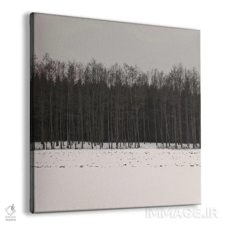 تابلو دکوراتیو جنگل های زمستانی اثر لنا وایسبک - نمای پرسپکتیو محصول