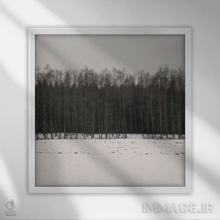 تابلو دکوراتیو جنگل های زمستانی اثر لنا وایسبک - نمای قابدار سفید