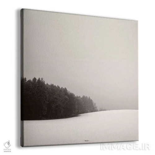 تابلو دکوراتیو تپه های پوشیده از برف اثر لنا وایسبک - نمای پرسپکتیو محصول