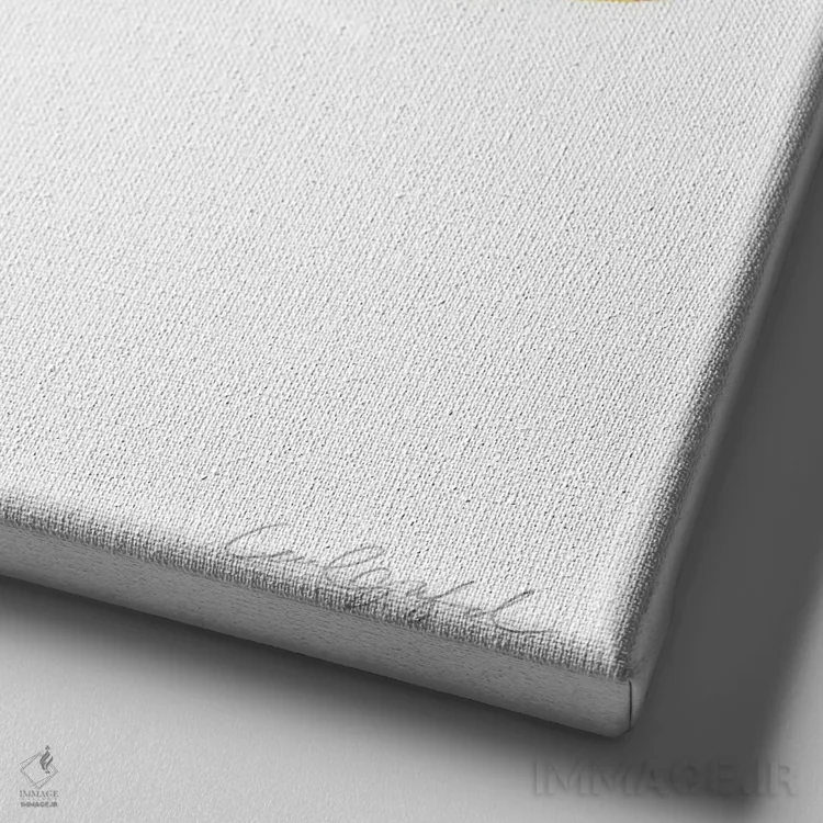 تابلو دکوراتیو یک قالب کره اثر لورل گرینفیلد - نمای نزدیک بافت بوم