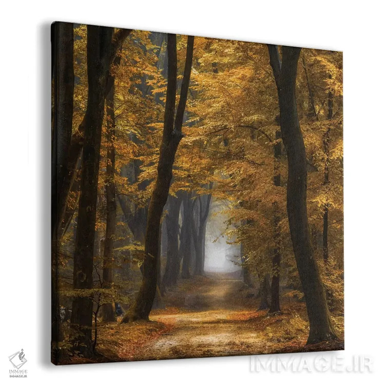 تابلو دکوراتیو اسپئول دیمنشنز اثر لارس فان ده خور - نمای پرسپکتیو محصول