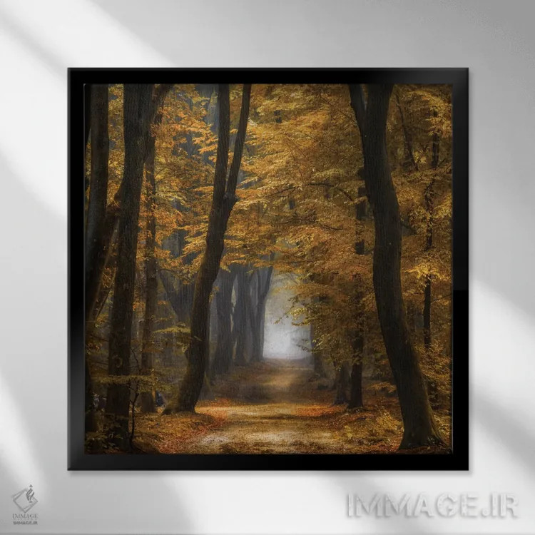 تابلو دکوراتیو اسپئول دیمنشنز اثر لارس فان ده خور - نمای قابدار مشکی