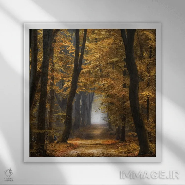 تابلو دکوراتیو اسپئول دیمنشنز اثر لارس فان ده خور - نمای قابدار سفید