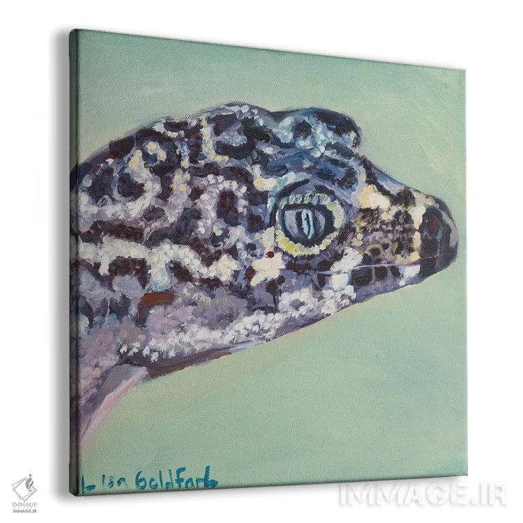 تابلو دکوراتیو پرتره گکو اثر لیزا گلدفارب - نمای پرسپکتیو محصول