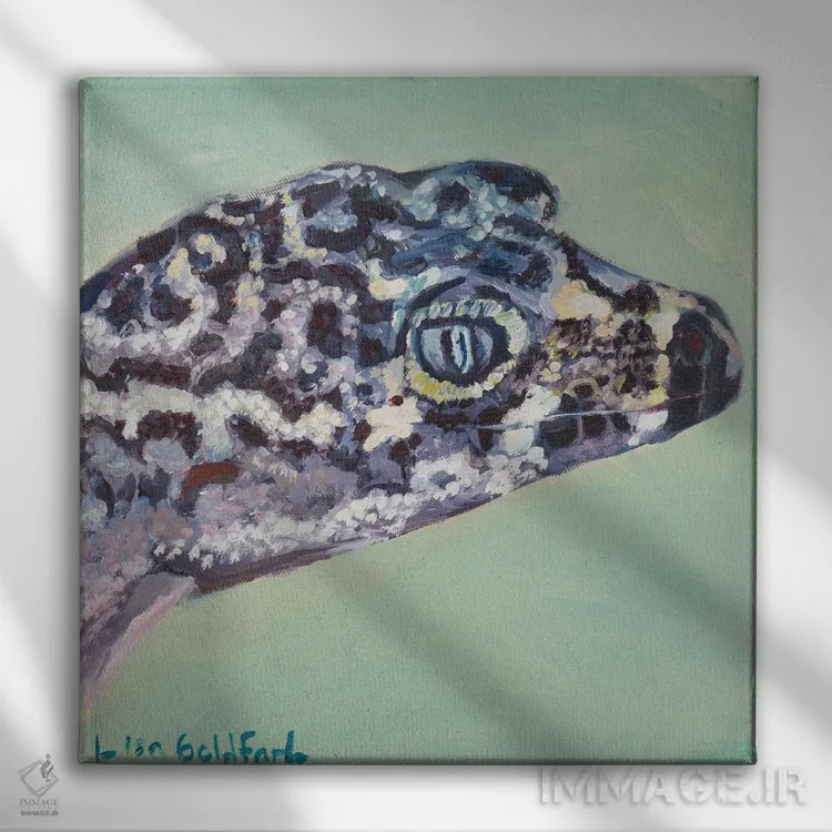 تابلو دکوراتیو پرتره گکو اثر لیزا گلدفارب - نمای روبهرو روی دیوار