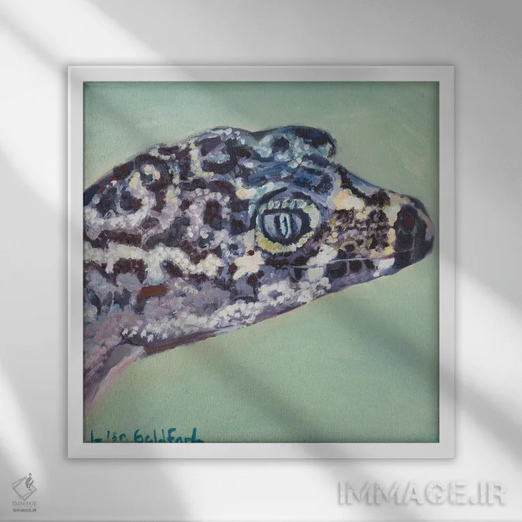 تابلو دکوراتیو پرتره گکو اثر لیزا گلدفارب - نمای قابدار سفید