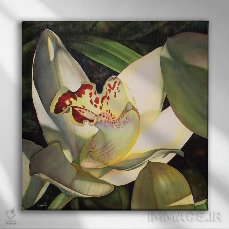 تابلو دکوراتیو ارکیده کم رنگ قسمت اول اثر لیزا لوپاک - نمای روبهرو روی دیوار