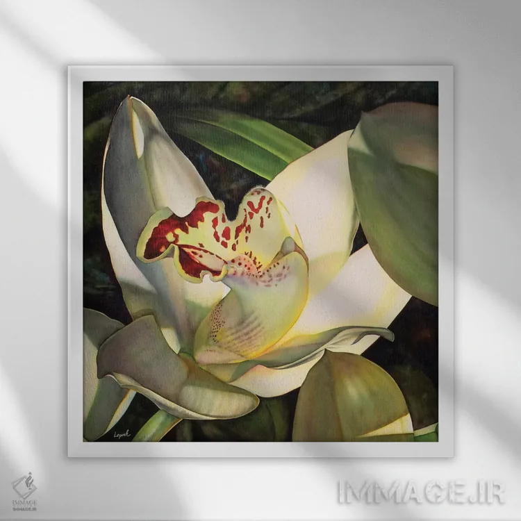 تابلو دکوراتیو ارکیده کم رنگ قسمت اول اثر لیزا لوپاک - نمای قابدار سفید