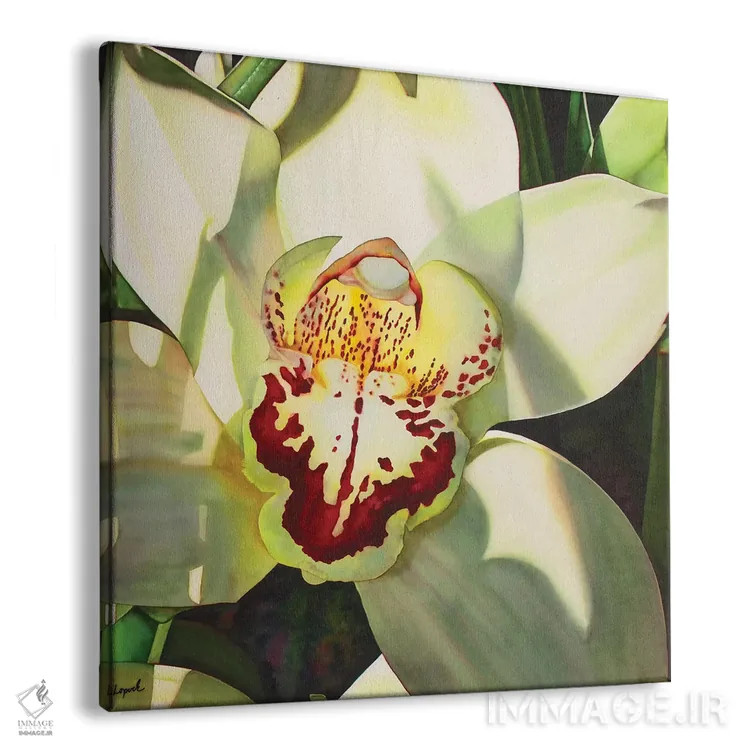 تابلو دکوراتیو ارکیده کم رنگ قسمت دوم اثر لیزا لوپاک - نمای پرسپکتیو محصول