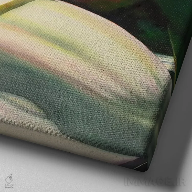 تابلو دکوراتیو ارکیده کم رنگ قسمت سوم اثر لیزا لوپاک - نمای نزدیک بافت بوم