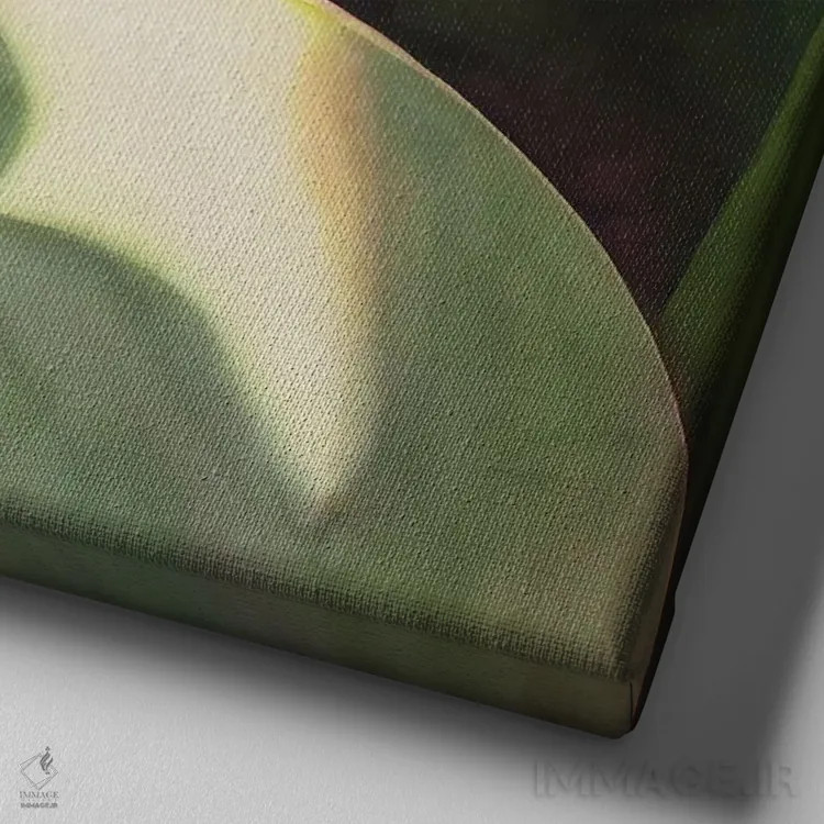 تابلو دکوراتیو ارکیده کم رنگ قسمت دوم اثر لیزا لوپاک - نمای نزدیک بافت بوم