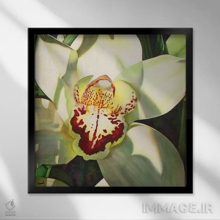 تابلو دکوراتیو ارکیده کم رنگ قسمت دوم اثر لیزا لوپاک - نمای قابدار مشکی
