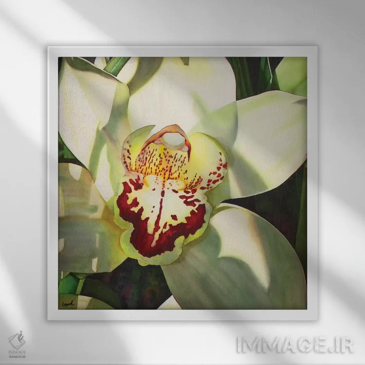 تابلو دکوراتیو ارکیده کم رنگ قسمت دوم اثر لیزا لوپاک - نمای قابدار سفید