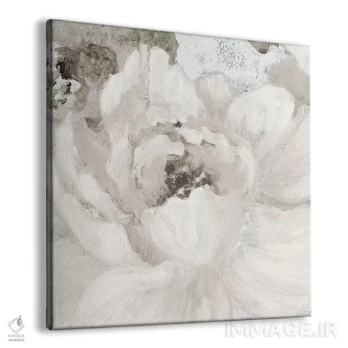 تابلو دکوراتیو گل های خاکستری روشن یک اثر لینی لورث - نمای پرسپکتیو محصول
