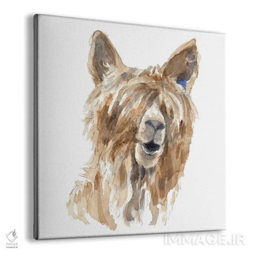 تابلو دکوراتیو "لامای پشمالو" اثر لینی لورث - نمای پرسپکتیو محصول