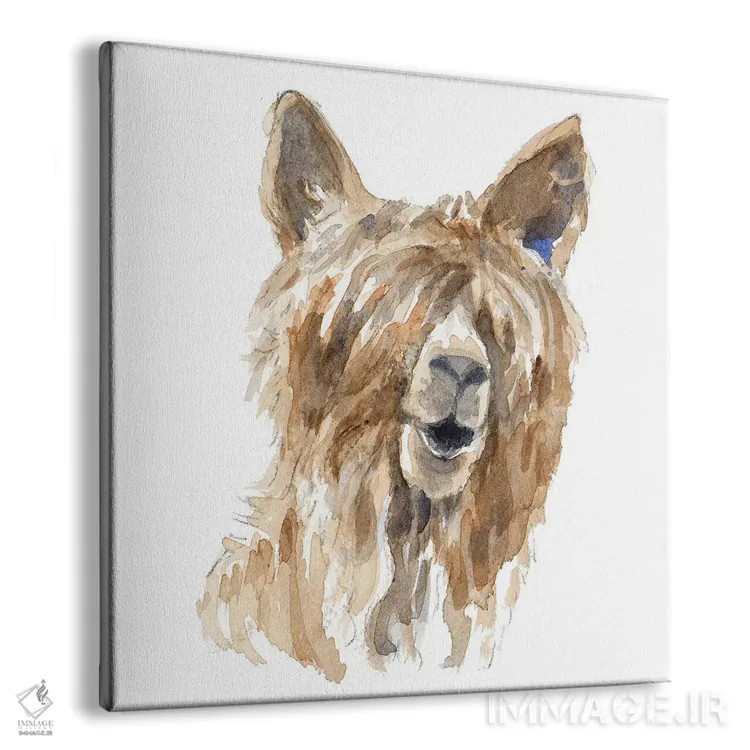 تابلو دکوراتیو "لامای پشمالو" اثر لینی لورث - نمای پرسپکتیو محصول