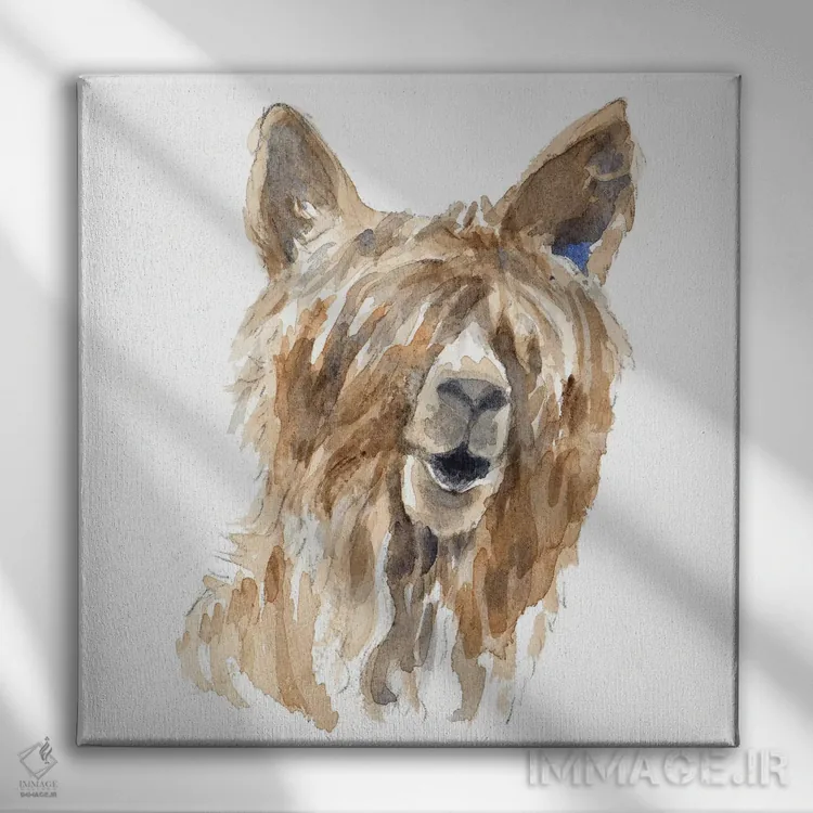 تابلو دکوراتیو "لامای پشمالو" اثر لینی لورث - نمای روبهرو روی دیوار