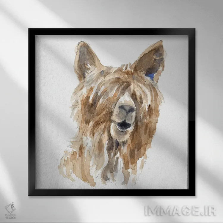 تابلو دکوراتیو "لامای پشمالو" اثر لینی لورث - نمای قابدار مشکی
