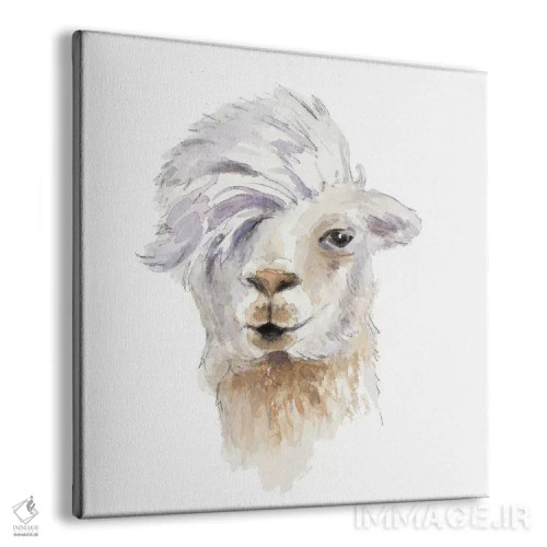 تابلو دکوراتیو "لامای شانه کرده" اثر لینی لورث - نمای پرسپکتیو محصول