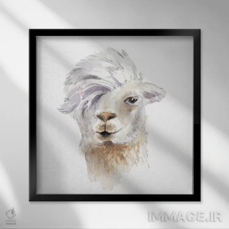 تابلو دکوراتیو "لامای شانه کرده" اثر لینی لورث - نمای قابدار مشکی