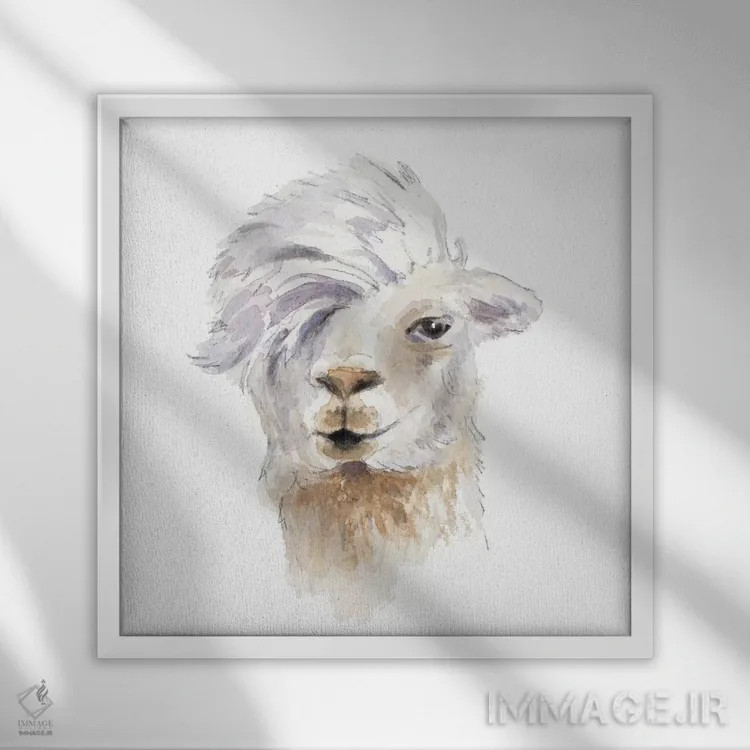 تابلو دکوراتیو "لامای شانه کرده" اثر لینی لورث - نمای قابدار سفید