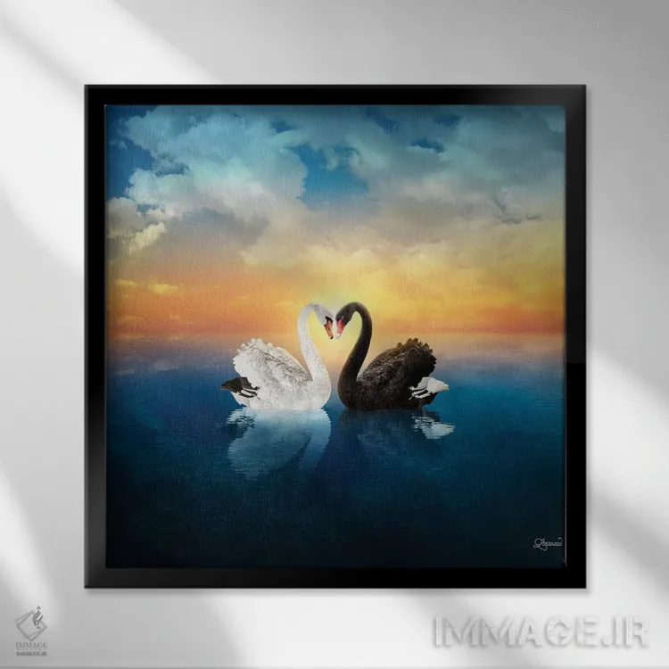 تابلو دکوراتیو عشق قوها اثر لاستاناو - نمای قابدار مشکی