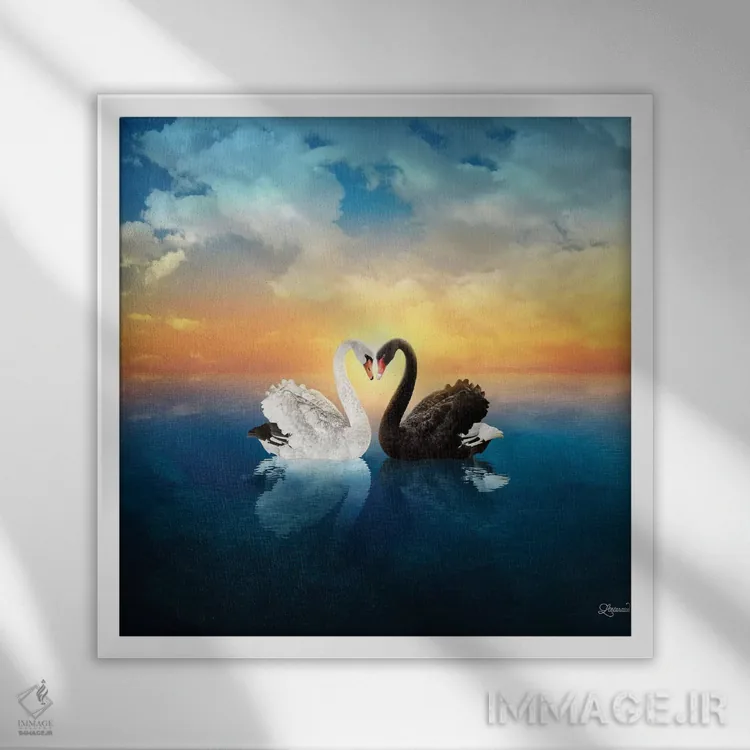 تابلو دکوراتیو عشق قوها اثر لاستاناو - نمای قابدار سفید