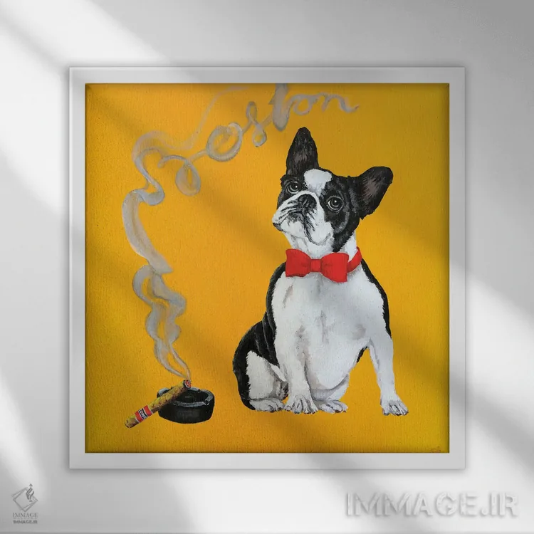 تابلو دکوراتیو بوستون اثر لنا اسمیرنوا - نمای قابدار سفید