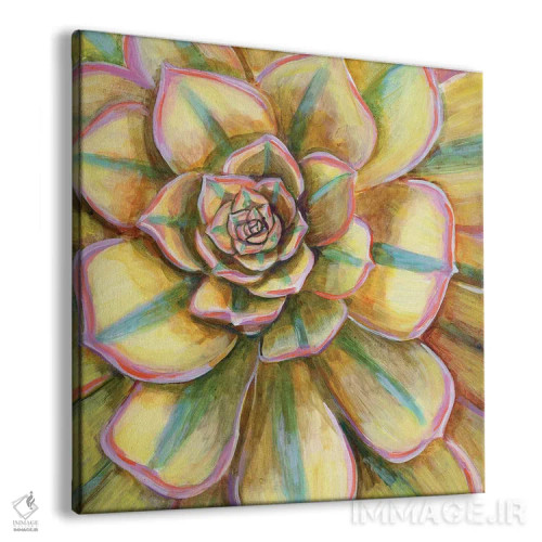 تابلو دکوراتیو ساکولنت خط دار زرد اثر لینه آ توبیاس - نمای پرسپکتیو محصول