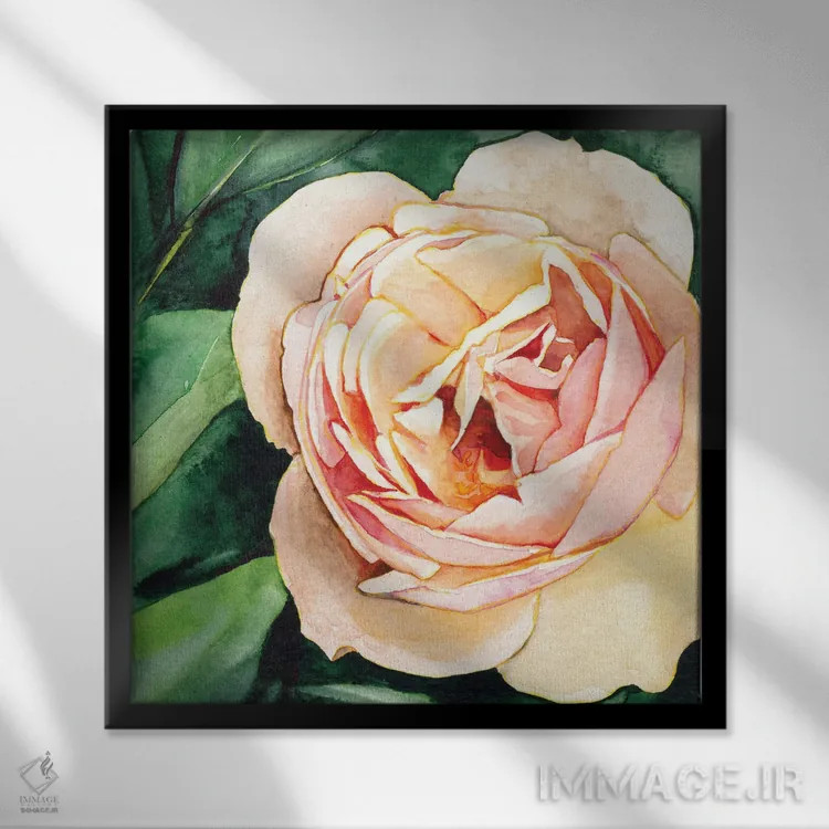 تابلو دکوراتیو رز هلو اثر کریستین لیندستروم - نمای قابدار مشکی