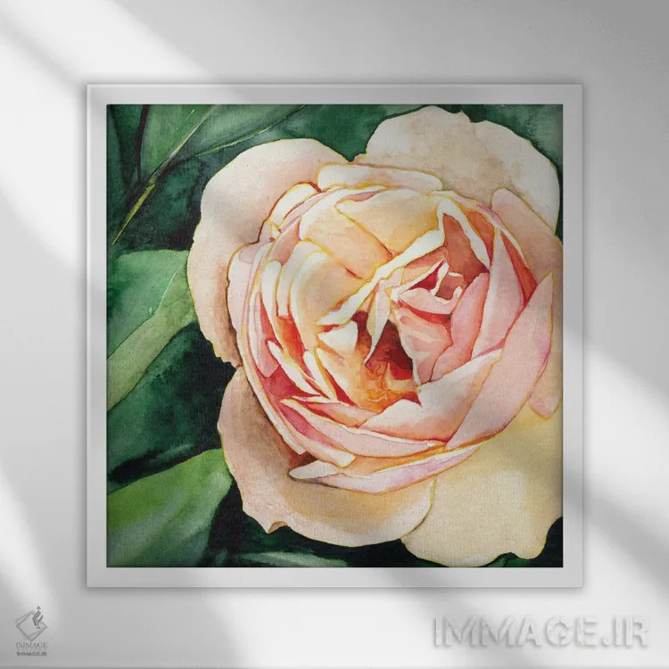 تابلو دکوراتیو رز هلو اثر کریستین لیندستروم - نمای قابدار سفید