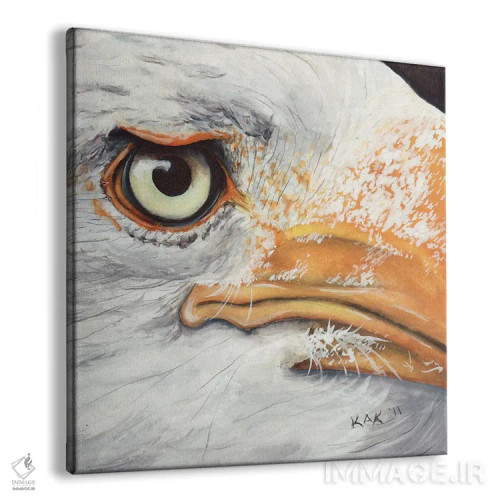 تابلو دکوراتیو عقاب I اثر هنر و طراحی KAK - نمای پرسپکتیو محصول