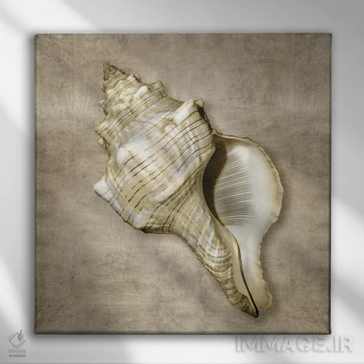 تابلو دکوراتیو موجودات دریایی طلایی III اثر کارولین کلی - نمای روبهرو روی دیوار